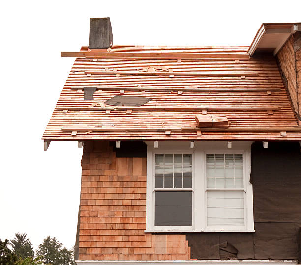 Affordable Siding Repair and Maintenance Services in Woodland, CA